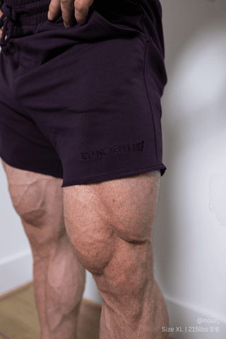 Motion 5'' Varsity Sweat Shorts - Dark Purple